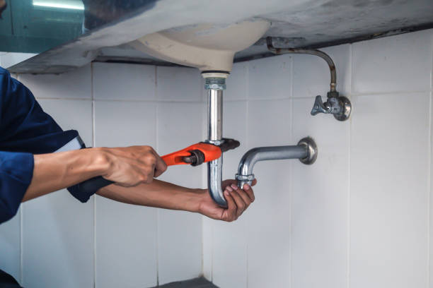 Best Clogged Drain Plumber  in Morenci, MI